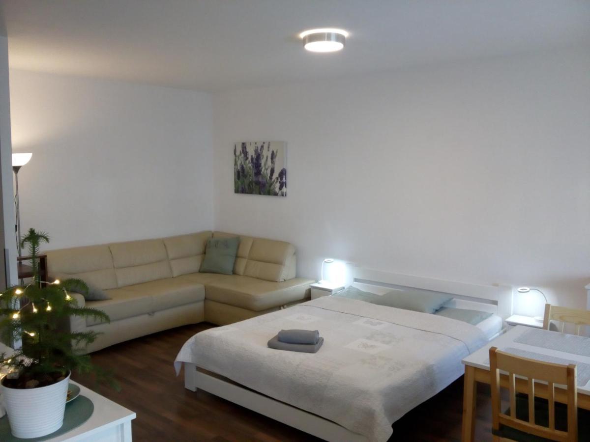 Przytulny Apartment